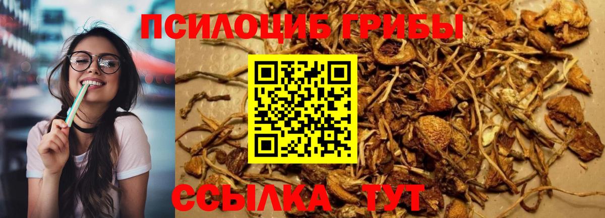 Псилоцибиновые грибы прущие грибы  Вход с VPN  Моршанск 